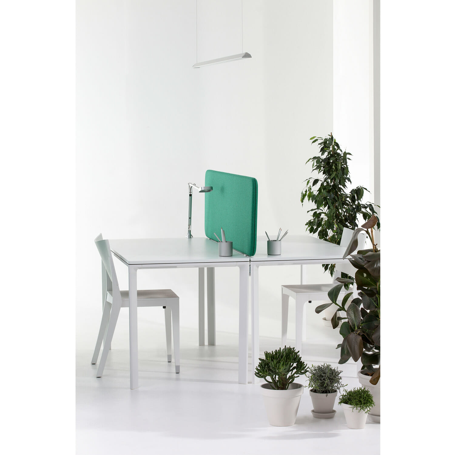 Softline Desk Screens - Image 3