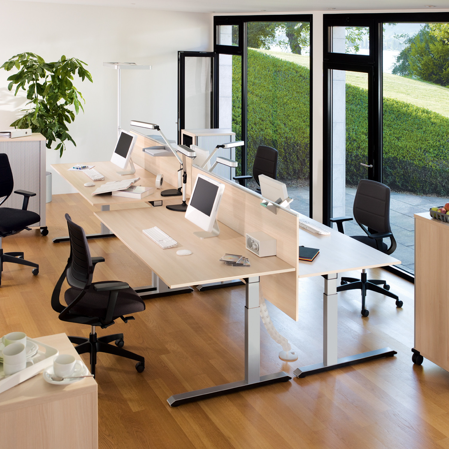 Temptation C Adjustable Desks 4