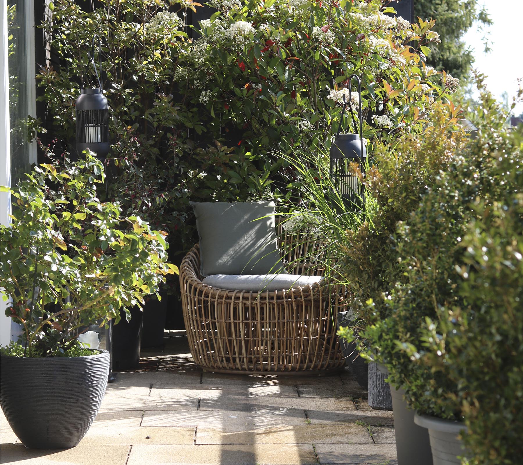 Nest Round Chair 3