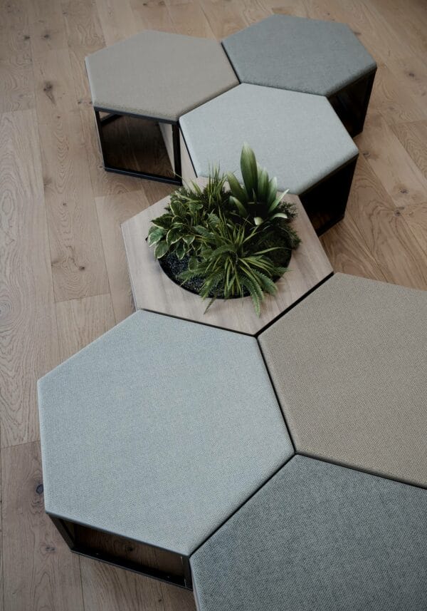 Nest 4